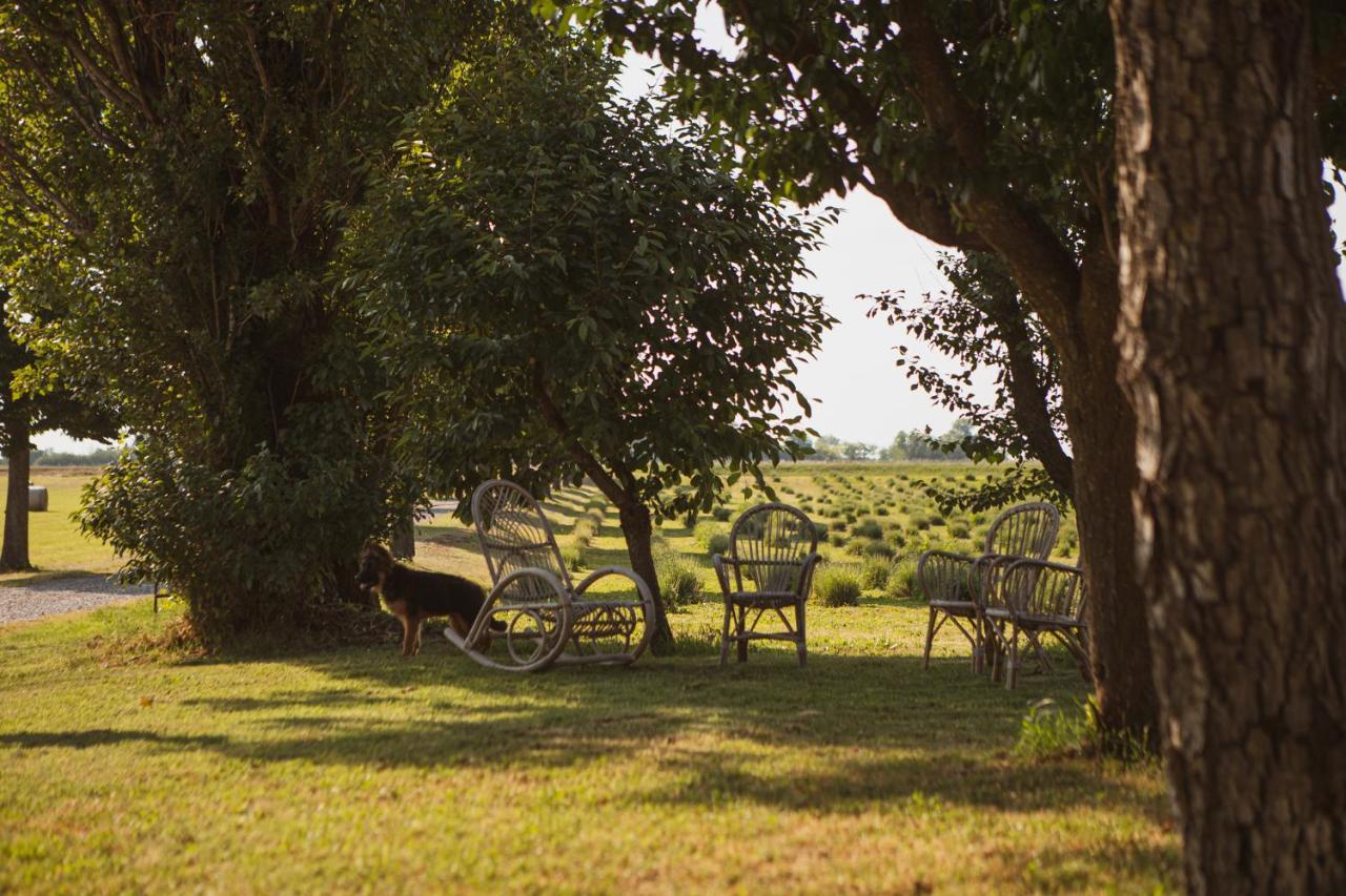 Agriturismo Il Capitolo Carpaneto Piacentino ภายนอก รูปภาพ